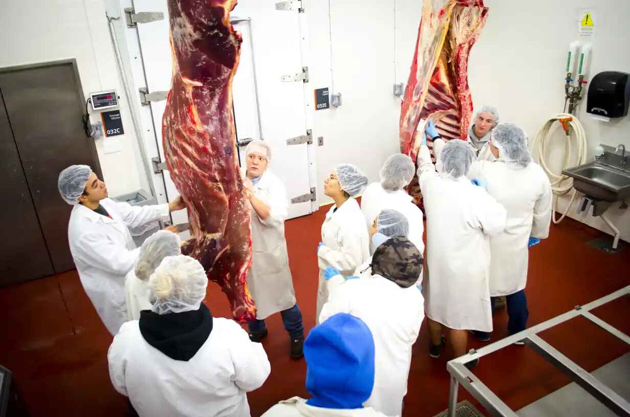 USDA-certified meat processing lab